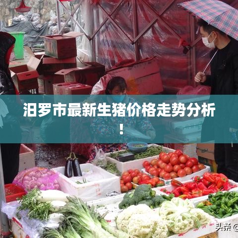 汨罗市最新生猪价格走势分析！