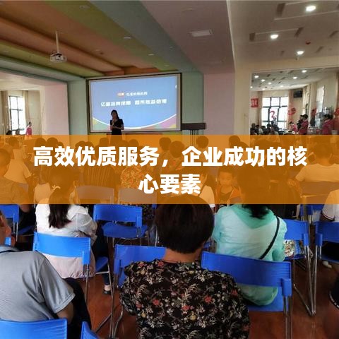 高效优质服务，企业成功的核心要素