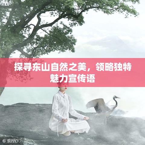 探寻东山自然之美，领略独特魅力宣传语