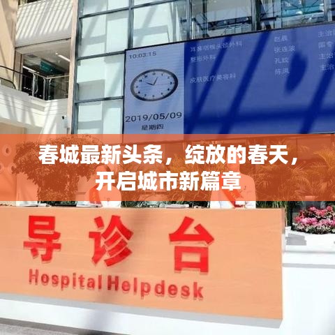 春城最新头条，绽放的春天，开启城市新篇章