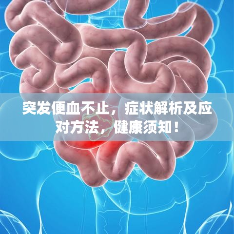 突发便血不止，症状解析及应对方法，健康须知！