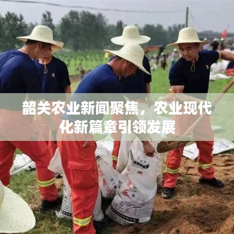 韶关农业新闻聚焦，农业现代化新篇章引领发展