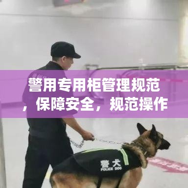 警用专用柜管理规范，保障安全，规范操作，提升警务效率