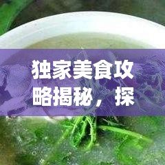 独家美食攻略揭秘，探索味蕾盛宴的极致之旅