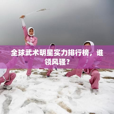 全球武术明星实力排行榜，谁领风骚？