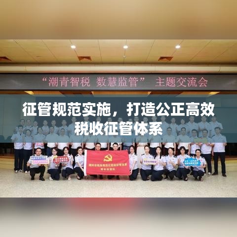 征管规范实施，打造公正高效税收征管体系