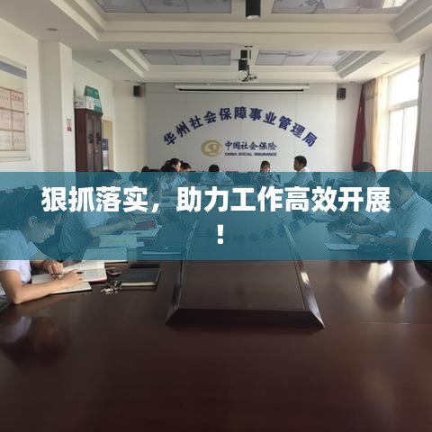 狠抓落实，助力工作高效开展！
