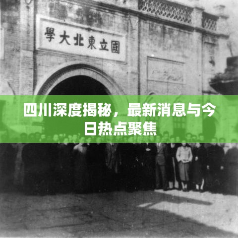四川深度揭秘，最新消息与今日热点聚焦