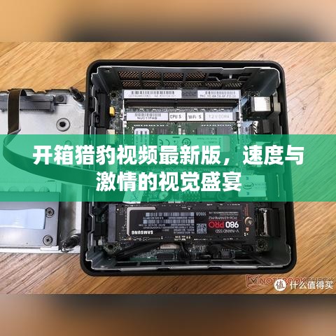 开箱猎豹视频最新版，速度与激情的视觉盛宴