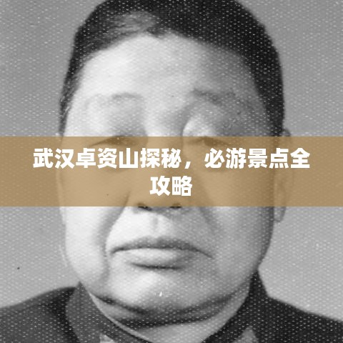 怀真抱素 第2页