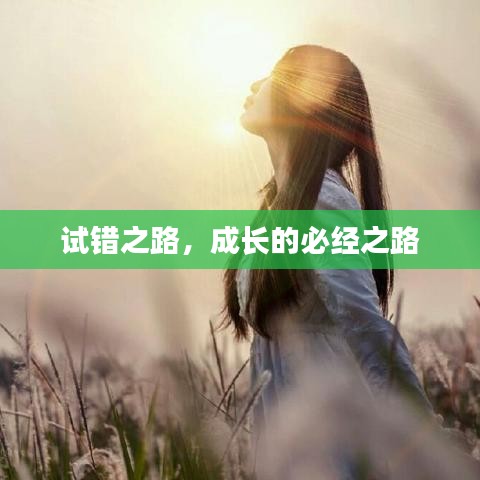 试错之路，成长的必经之路