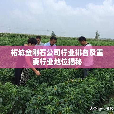 柘城金刚石公司行业排名及重要行业地位揭秘