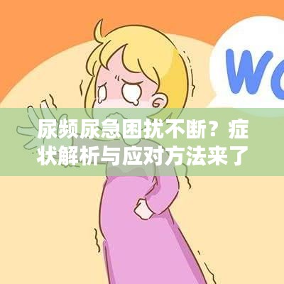 尿频尿急困扰不断？症状解析与应对方法来了！
