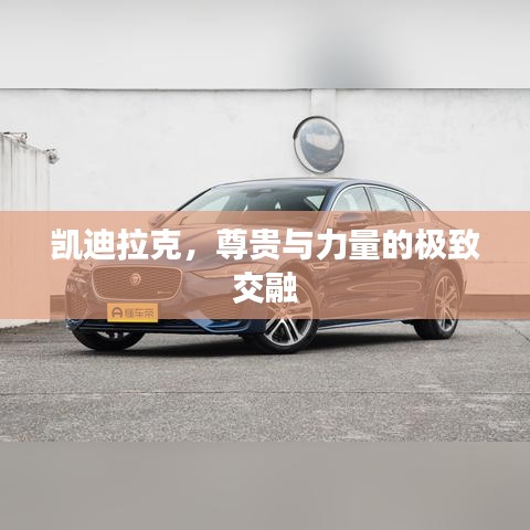 凯迪拉克，尊贵与力量的极致交融