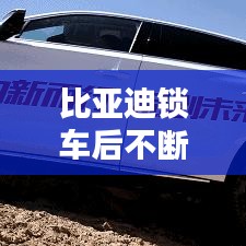 长安米贵