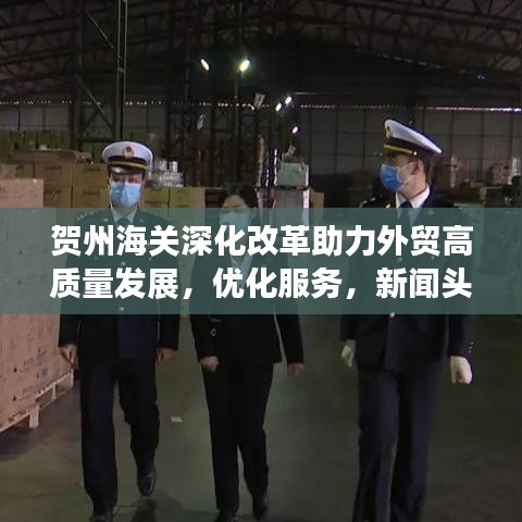 贺州海关深化改革助力外贸高质量发展，优化服务，新闻头条抢先看