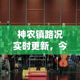 神农镇路况实时更新，今日路况最新消息汇总