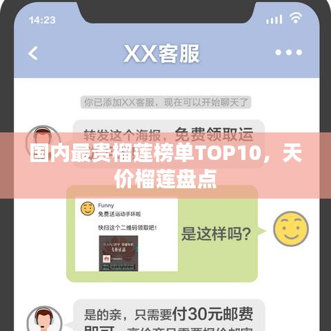 国内最贵榴莲榜单TOP10，天价榴莲盘点