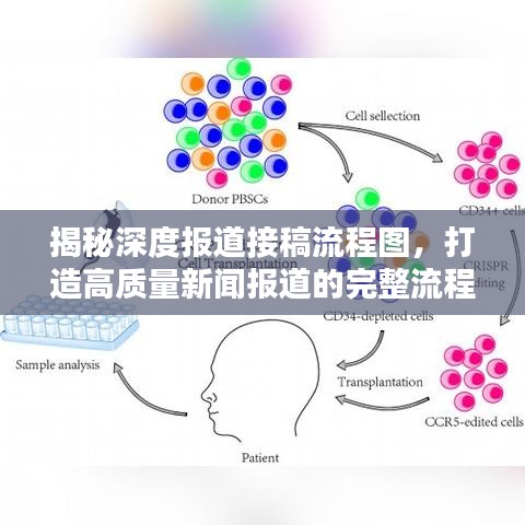 揭秘深度报道接稿流程图，打造高质量新闻报道的完整流程揭秘