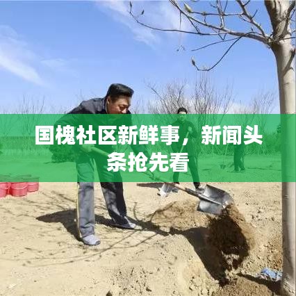 国槐社区新鲜事，新闻头条抢先看