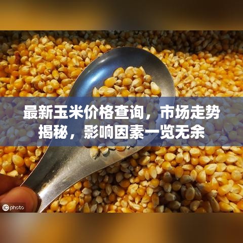 最新玉米价格查询，市场走势揭秘，影响因素一览无余