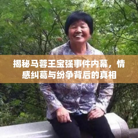 揭秘马蓉王宝强事件内幕，情感纠葛与纷争背后的真相