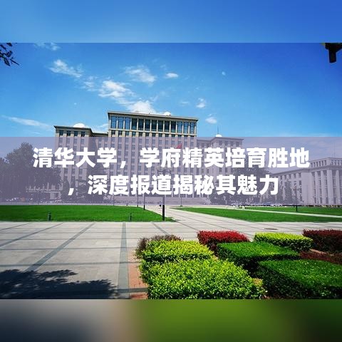 清华大学，学府精英培育胜地，深度报道揭秘其魅力