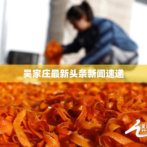 吴家庄最新头条新闻速递