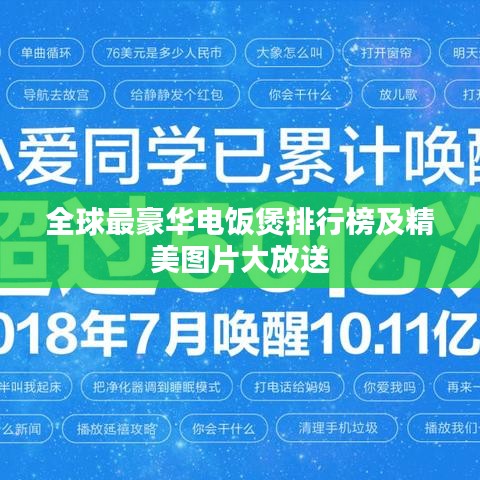 全球最豪华电饭煲排行榜及精美图片大放送