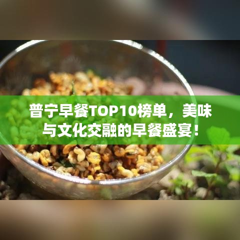 普宁早餐TOP10榜单，美味与文化交融的早餐盛宴！