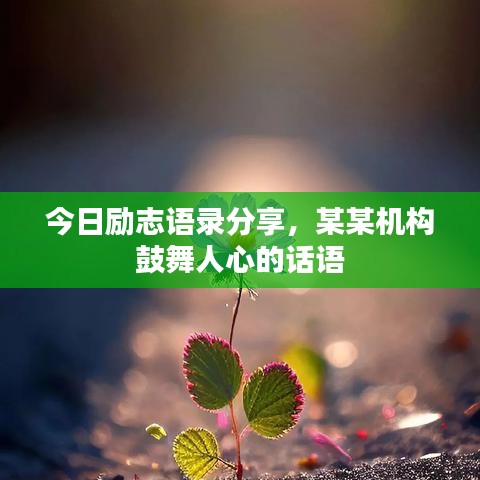 今日励志语录分享，某某机构鼓舞人心的话语