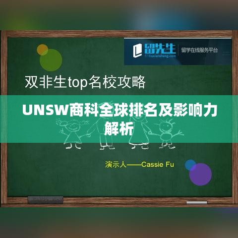 UNSW商科全球排名及影响力解析