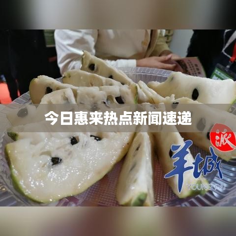 今日惠来热点新闻速递