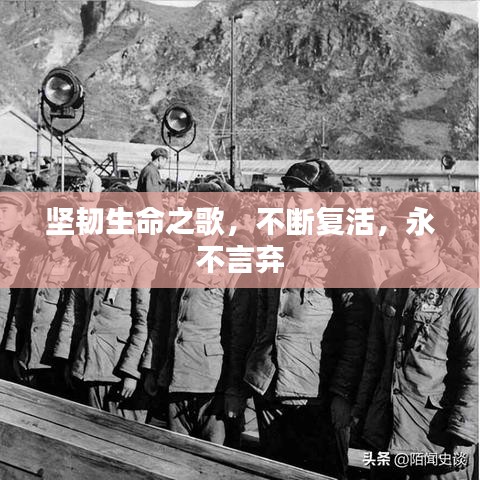 坚韧生命之歌，不断复活，永不言弃