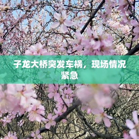子龙大桥突发车祸，现场情况紧急