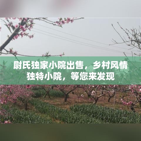 尉氏独家小院出售，乡村风情独特小院，等您来发现