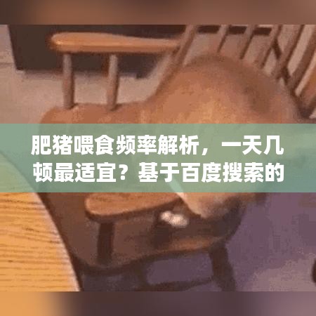 肥猪喂食频率解析，一天几顿最适宜？基于百度搜索的专业探讨