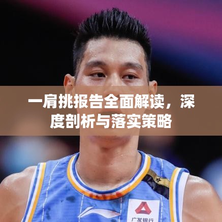 一肩挑报告全面解读，深度剖析与落实策略