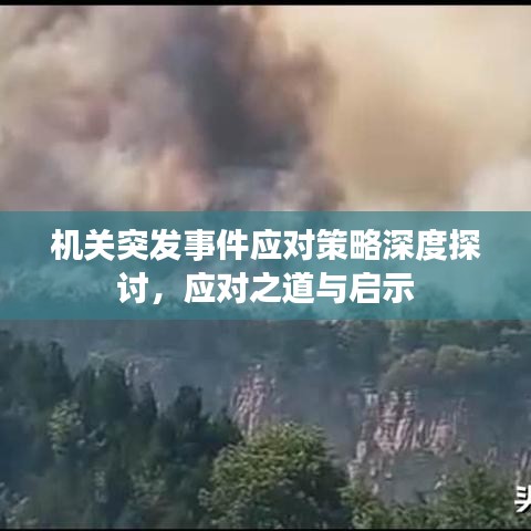 机关突发事件应对策略深度探讨，应对之道与启示