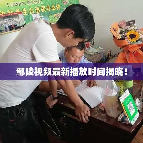 鄢陵视频最新播放时间揭晓！