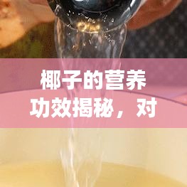 椰子的营养功效揭秘，对身体有哪些好处？百度来解答！