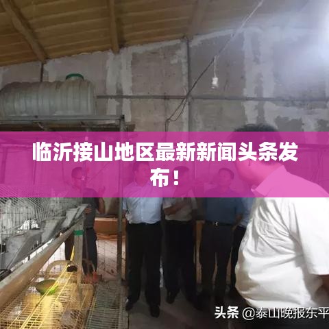 气囊 第15页