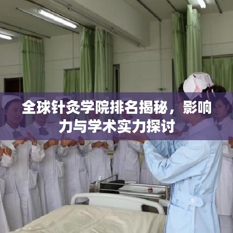 全球针灸学院排名揭秘，影响力与学术实力探讨