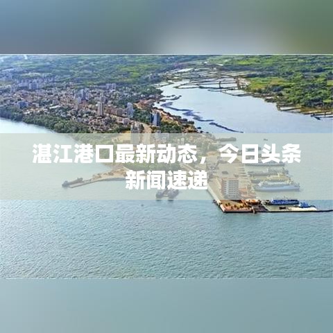 湛江港口最新动态，今日头条新闻速递