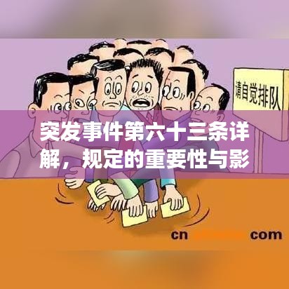 突发事件第六十三条详解，规定的重要性与影响