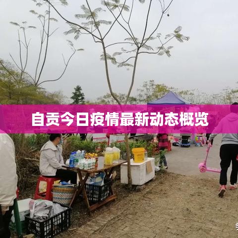 自贡今日疫情最新动态概览