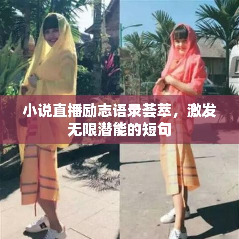 小说直播励志语录荟萃，激发无限潜能的短句
