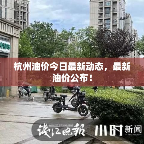 杭州油价今日最新动态，最新油价公布！