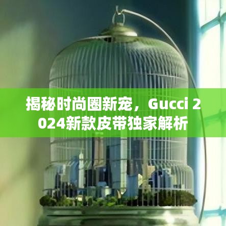 揭秘时尚圈新宠，Gucci 2024新款皮带独家解析