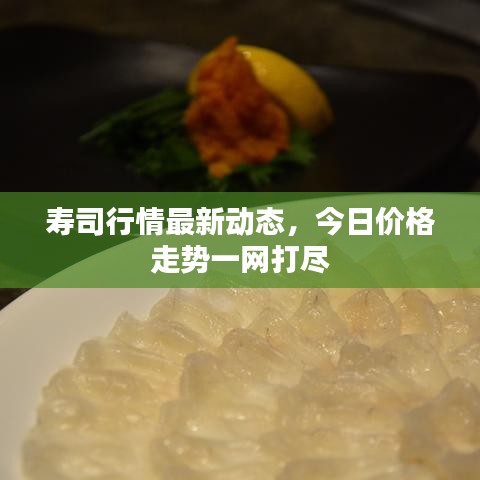 寿司行情最新动态，今日价格走势一网打尽
